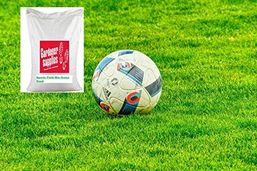 Portal Cool Semilla 1kg Hierba Reparación de acción rápida Deporte campo de césped mezcla certificada