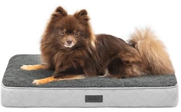 lionto Hundebett orthopädisch, 60x40x8 cm, Robustes Hundekissen mit weichem Plüsch, Bezug abnehmbar & waschbar, wasserabweisend, geeignet für kleine & große Hunde + Katzen, grau