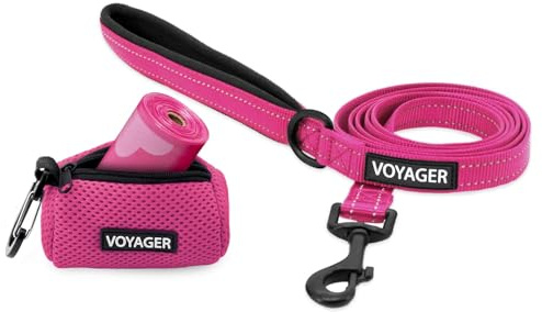 Voyager Reflektierende Hundeleine mit Neoprengriff und wiederverwendbarem Mesh Dispenser-Kotbeutel-Halter by Best Pet Supplies, Fuchsia, size S