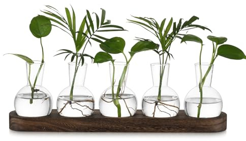 Hewory Propagation Station Propagators for Plants: Desktop Glass Terrarium Bulb Vase Gifts for Plant Lovers - Small Glass Vase Terrarium Jar With Wood Tray for Houseplants Cuttings Windowsill, 5pcs
