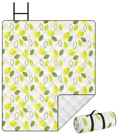 YNPQTDS Coperte da picnic – Tappeto impermeabile per picnic | Uso per tutte le stagioni lavabile in lavatrice pieghevole per famiglie e amici