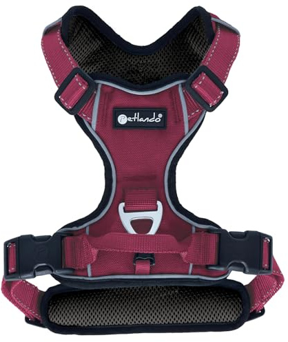 Petlando Hundegeschirr Outdoor – stark reflektierend, gepolstert, atmungsaktiv, robust, stufenlos verstellbar, Zwei D-Ringe – Berry, M (Halsumfang 42-54cm, Brustumfang 56-68cm)