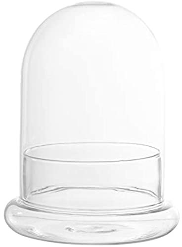 EdirFtra 1-Set Glass Clock, Glass Cheese Clock, Cake Rack, Cake Glass Dome DIY Plant, Cake Clock, Food Lid, Cake Lid