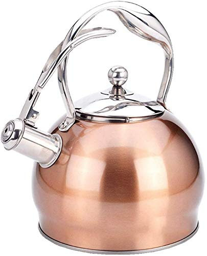 ARNUZ Hervidor Hervidor Hervidor de gas de acero inoxidable 304 Agua hirviendo Cocina de inducción de gas Silbato Hervidor pequeño Tetera de acero inoxidable pesa rusa DF