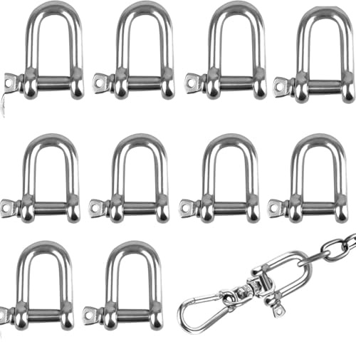 Grillete en D, Grillete M6 D, Grillete de anillo en D de acero inoxidable 304, Grillete de bloqueo, Grillete de anillo en D rect,10 piezas, grillete de acero inoxidable