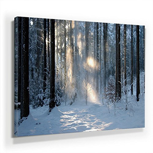 BilderKing Winterwald - Leinwandbild 90x60cm, Leinwand auf Echtholzrahmen aufgespannt, UV-stabil und wasserfest, Kunstdruck für Büro oder Wohnzimmer, XXL Deko Bild abstrakt FineArtPrint Wandbild