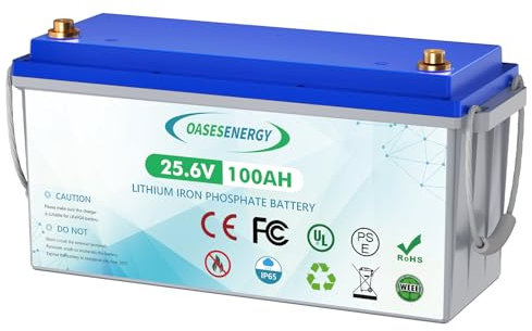 Batterie au lithium LiFePO4 24V 100Ah, batterie à décharge profonde avec BMS 100A, jusqu'à 15000 cycles, durée de vie de 10 ans, pour système solaire, camping-car, camping, bateau, moteur à la traîne