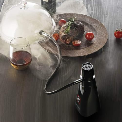 Pistolet à Fumer, Fumeur Portable, Infuseur de fumée Portable, fumoir alimentaire polyvalent, fonctionne à piles, for préparer des cocktails, du saumon, du bœuf, Etc.