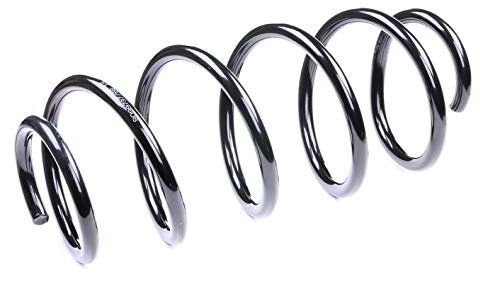 RIDEX 188C0049 2x Muelle de suspensión Eje delantero compatible con VW Passat B6 Variant 3C5 Passat B7 Variant 365 Passat B6 Sedán 3C2 Passat B7 Sedán 362 Passat CC 357 CC B7 358