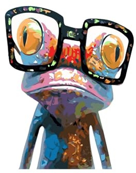 KOMKING Paint by Numbers for Adults Kids Beginner, Painting by Number Kits on Canvas Without Frame, Colorful Frog 16x20inch