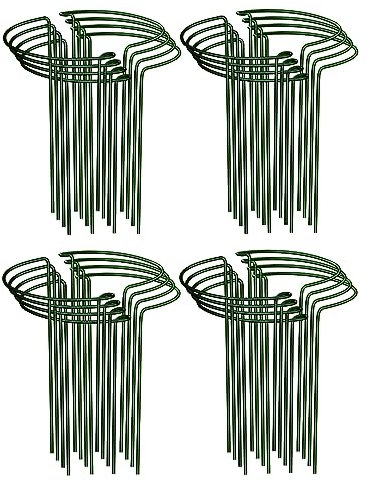 ASAB 16 Pack Plant Support Stakes Ring Cage Supports for Garden Sturdy Metal Frame Garden Large Plant Supports Protects Plant Stems Space Saving Flower Supports Rose Vegetables Tomato Vine (25 x 40cm)