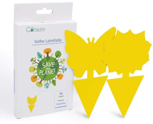 Garsum Fruchtfliegen-Klebefalle für drinnen und draußen,36er Pack