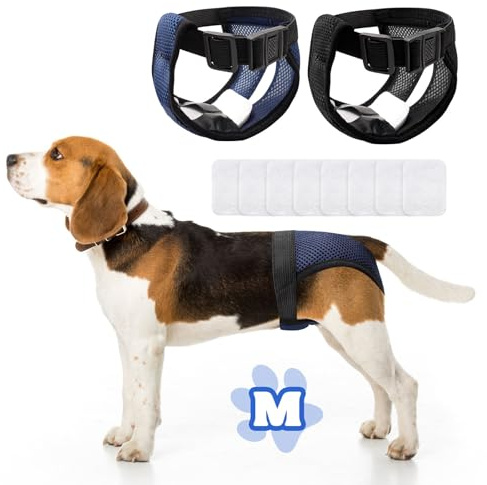 2 Piezas Bragas Perras Menstruales, Pañal Perro Hembra, Pañales Perro Macho Hembra, Pañales para Perros Hembra, Bragas para Perros Celo Hembra Trae 8 Toallas Sanitarias, Reutilizable y Lavable (M)