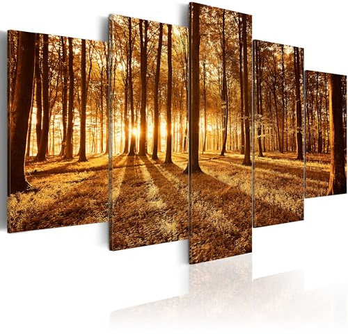 B&D XXL - Acrylglasbild Geschenke Heimdekoration, 200x100 cm, 5-teilig | Hochwertige Leinwand, sofort aufhängbar, ideal fürs Wohn- oder Schlafzimmer, wasserfest und lichtecht, langlebig, stilvoll