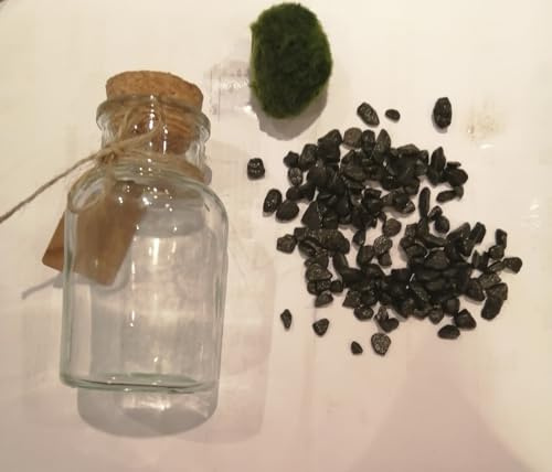 Marimo Moss Ball in Glass Jar - Multi Size & Gravel Colours - Terrarium Kit - Fresh Live Aquatic Aquarium Pet Gift (12cm Jar - Black Gravel)