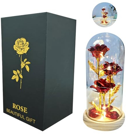 Eternal Rose Gifts for Her, Infinity Light Up Rose in Shatterproof Acrylic Dome with Eco-Friendly Wood Base, Artificial Flower Lamp for Valentines Day Mothers Day Anniversary Birthday (Gold Red)
