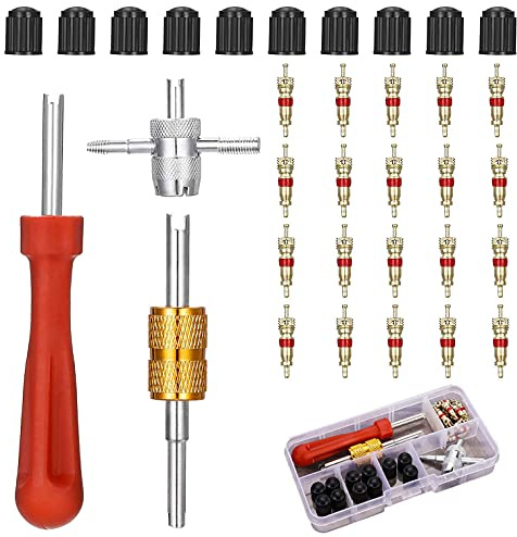 XPOOP Kit de Dépose de Valve de Pneu de 33 Pcs avec 20 Obus de Valve, Extracteurs de Noyau de Valve à Double et à Une Tête, 4 Outils de Valve et 10 Capuchons de Valve de Pneu