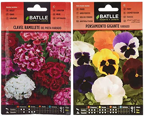 Semillas Batlle - Clavel RAMILLETE del Poeta Vdo. & Pensamiento Gigante VARIADO