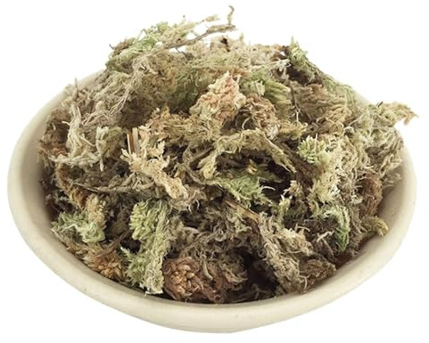 Sphagnummoos Seco: Sustrato De Plantas Naturales Para Orquídeas | Sphagnum Moos Apuntó, Terrario De Decoración, Cuidado De Flores De, Accesorios De Jardín Crecimiento De La Planta, Material