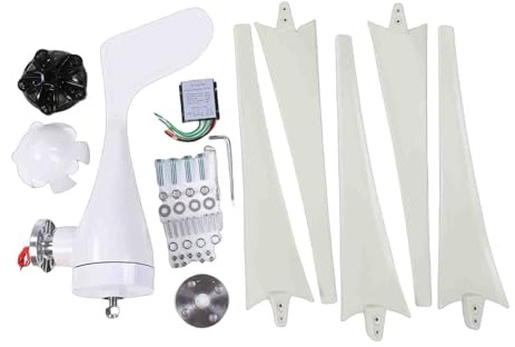 Dioche Generatore Eolico 24V 800W con Regolatore di Carica, Turbina Eolica di Tipo S a 5 Pale per Energia Pulita - Ideale per Casa, Autostrade e Barche