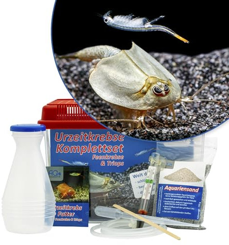 AQ4Aquaristik Triops und Feenkrebse Urzeitkrebse Starter Set: Eier, 2,5 Liter Kunststoff Aquarium mit Zubehör, Futter und Anleitung