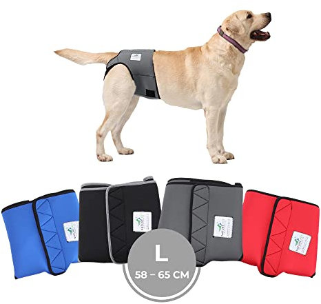 Nature Pet Läufigkeitshose für Hündinnen - Hundewindel für Rüden - Kein lästiges Einfädeln der Rute - Inkontinenz Hundehöschen (L-Grau)