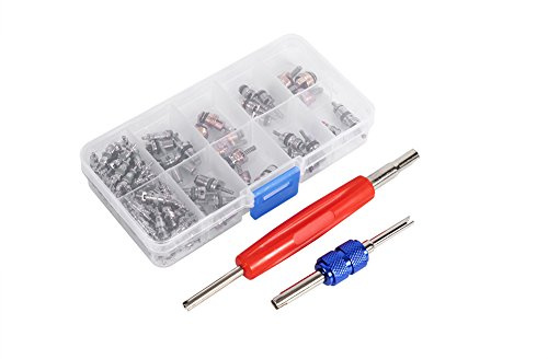 102 piezas Válvula de neumático Auto A/C Núcleo de válvula A/C Accesorios de inserción de válvula R134a / R12 Surtido de vástago de válvula con herramienta de montaje Accesorio de repuesto