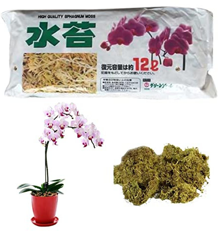Muschio Di Torba, Muschio Di Torba Per Piante, Terreno Substrato Di Coltivazione Fuori Suolo, Muschio Vegetale Essiccato Per Piante Da Giardino Di Orchidee