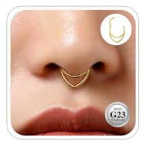 ESHIONER G23 Titanium piercingsmycken för Conch Helix Septum Rook Tragus näsringar allergivänliga med ett klickgångjärn 16G 8/10/12 mm silver guld dubbla ringar broskörhängen för dam, (16g)1.2*10mm
