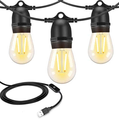 ROMANJOY 24.6FT USB Lights for Camping, USB String Lights with Touch Dimmer, 2700K Warm White USB Powered String with 10pcs 1W S14 Shatterproof E26 LED Bulbs for Terrace, Christmas
