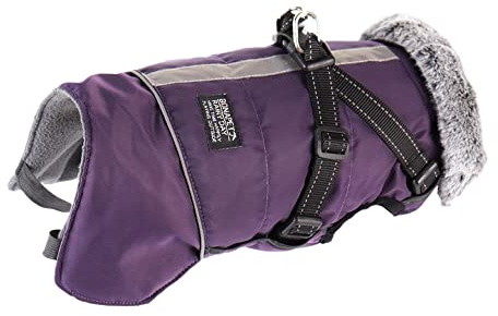 Hunderegenmantel Warme Hunde Mantel Wasserdichter Hundemantel mit Reflektoren und Riemen (Violett M)