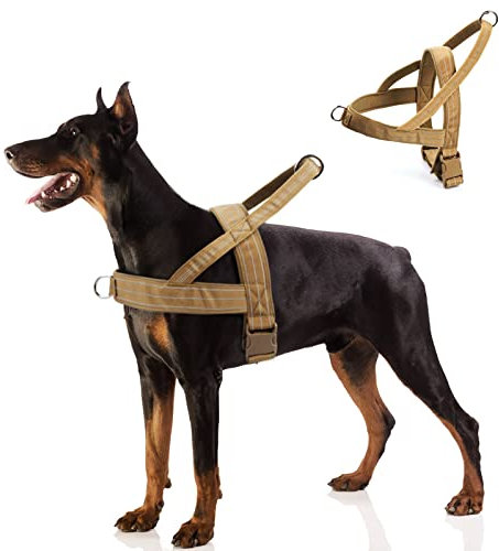Hundegeschirr, Anti-Zug Geschirr Reflektierende Hundegeschirr für Mittlere Große Hunde, Verstellbar Geschirr Hund mit Weich Gepolstert Atmungsaktiv Brustgeschirr für Walken, Running (M)