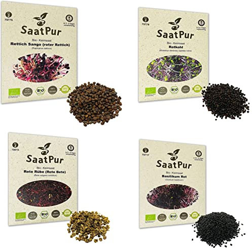 SaatPur BIO Keimsprossen Sortiment 4 BIO Sorten Red Energie Mix Mischung - Radies Rotkohl Basilikum Rote Beete