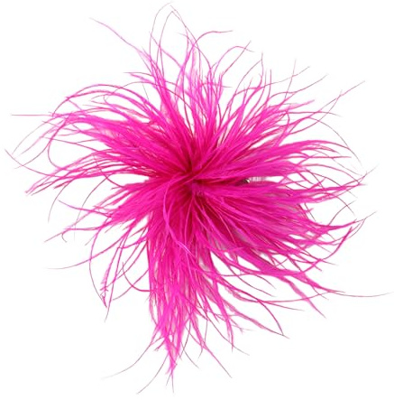 LAKPYN 1pcs Feder Brosche Damen Fluffy enfeder Anstecker Vintage Stil Hutaccessoire Braut Hochzeit Party für Frauen Hochzeitsfeier Tanz Bankett Kleid Kleidungsaccessoires,Weinrot(B)