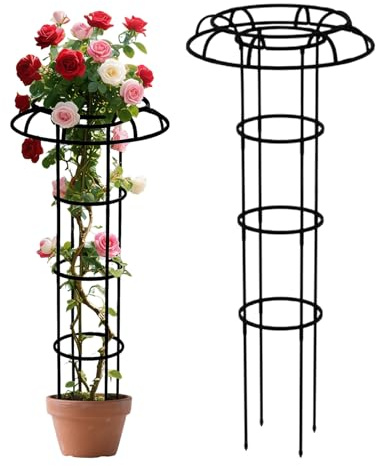 Rankgitter für den Garten, Allwetter-Regenschirm-Form, Topfpflanzen-Unterstützung, für Bohnen, Tomaten, Reben, Clematis, Fensterbank, Hof, Balkon