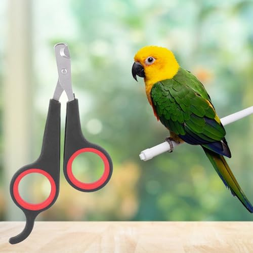 YUYTE Krallenschere für Vögel [Upgrade-Modell 2024] Vogel-Nagelschere – Edelstahl-Nagelknipser für Kleintiere, Leichtes und Ergonomisches Pflegewerkzeug – für den Heim- und Vogelgebrauch
