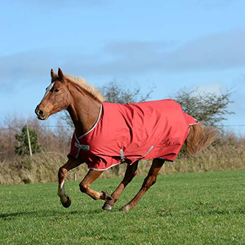 Bucas Pferdedecke Freedom Turnout 300 | Farbe: Chilli red | Größe: 125