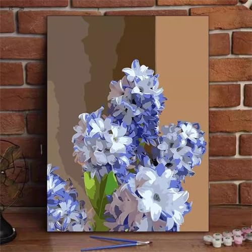 Jacinto Pintura por Números para Adultos,Paint by Numbers,Pinturas al óleo Acrílicas por Números para Adultos Principiantes Kit de Pintura para Niños Decoración del Hogar Without Framed 60x75cm