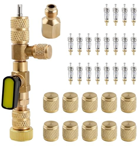 Gold Deer Strumento di rimozione del Nucleo della valvola con Doppia Dimensione SAE 1/4 e 5/16 Port Strumento di rimozione del Nucleo della valvola Schrader, Strumento di rimozione della valvola