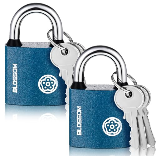 Invalidism Iron Padlock - 2 Pcs, 32 MM, Heavy Duty Weatherproof, Safety for Shed, Warehouse, Fence, Garage, Garden, Gym, Locker