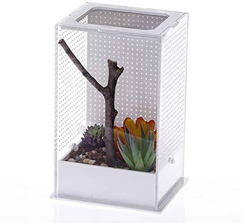 MOONDAME Reptilien Futterbox Für Die Zucht Tragbares Kunststoff Terrarium Klarer Insektenlebensraum Für Haustiere Hundertfüßer 2