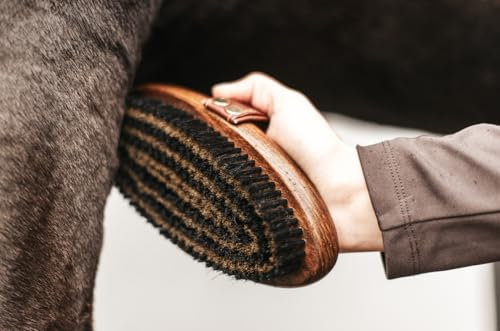 Equimour Metallbürste – Holzbürste – Kardätsche mit stabilen Messing- & Naturborsten für gründliches Striegeln, tiefe Fellpflege & Glanz – Robustes Putzzeug für Pferde