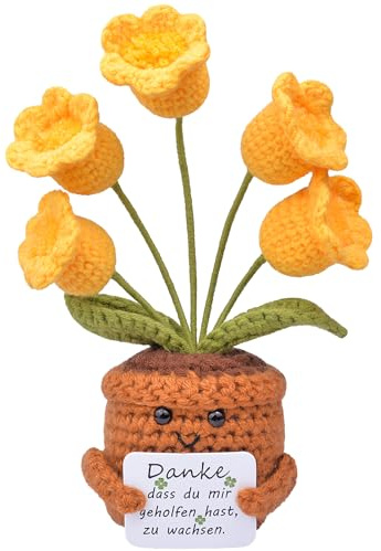 Mwmoeen Pocket Hug Positive Blume, Dankeschön Geschenk für Lehrer | Positive Kartoffel, Positiver Kaktus, Geschenke für Freundin, Kleine Geschenke für Frauen