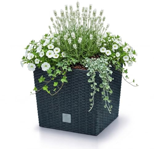 Prosperplast Zanvic Rato Maceta, Antracita, 26.5x26.5 cm