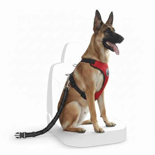 Pettorina per cani, imbracatura per cani medi, imbracatura per cani grossi senza tirare, imbracatura per cani grandi, cani harness, imbracature anti-tiraggio, imbracatura per cani omologata,