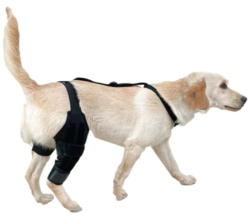 Yhsioaklo Dog Leg Brace | Dog Knee Brace with Adjustable Strap | Hínd Leg Protector | Hock Wrap Sleeve | Pet Knee Sleeve for Fixation Weakness Support Recovery Injury Rehabilitation