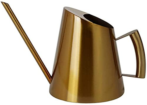Arrosoir vintage en métal bronze 900 ml avec long bec d'arrosage pour petites plantes en pot Bureau Jardin Pratique Couleur : doré Taille : S