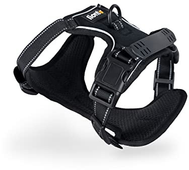 lionto Hundegeschirr gepolstert aus weichem Nylon, Größe M, reflektierendes Anti Zug Geschirr für Hunde mit 2 Ringen & 4 Einstellgurten, Zwei Klickverschlüsse & gummierter Griff am Rücken, schwarz