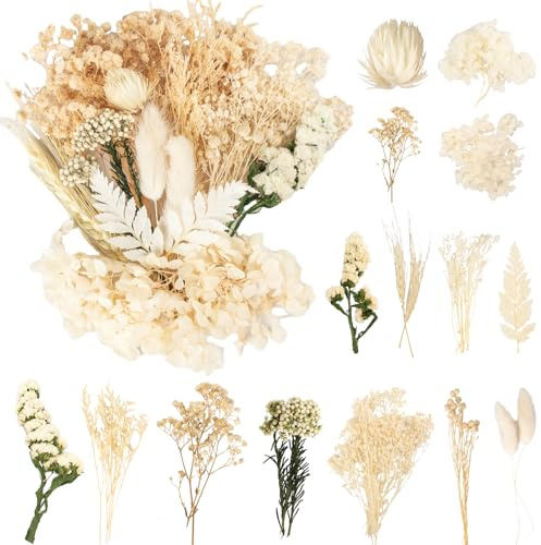 LAUMOE Weiß Getrocknete Blumen, Trockenblumen Zum Basteln Mini Trockenblumen klein für Kunst Basteln DIY Harz Scrapbooking Heimdekoration