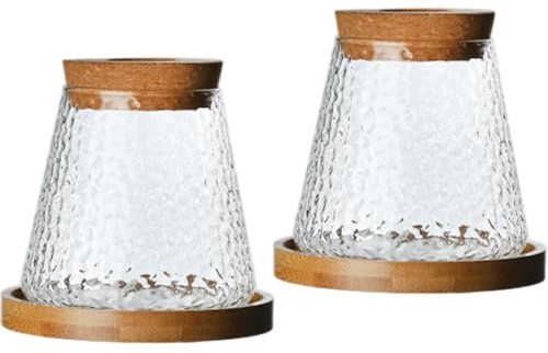Vases de Propagation 2 pièces pour Plantes Vases de Propagation Transparents avec Plateau en liège perforé et Plateau en Bambou Pot Plante en Verre pour la Culture Plantes hydroponiques